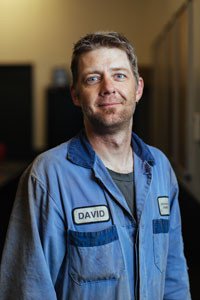 david